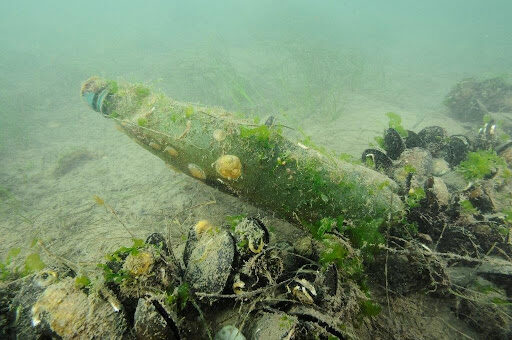 L’impact de la pollution plastique sur les écosystèmes marins