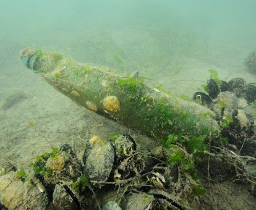 L’impact de la pollution plastique sur les écosystèmes marins
